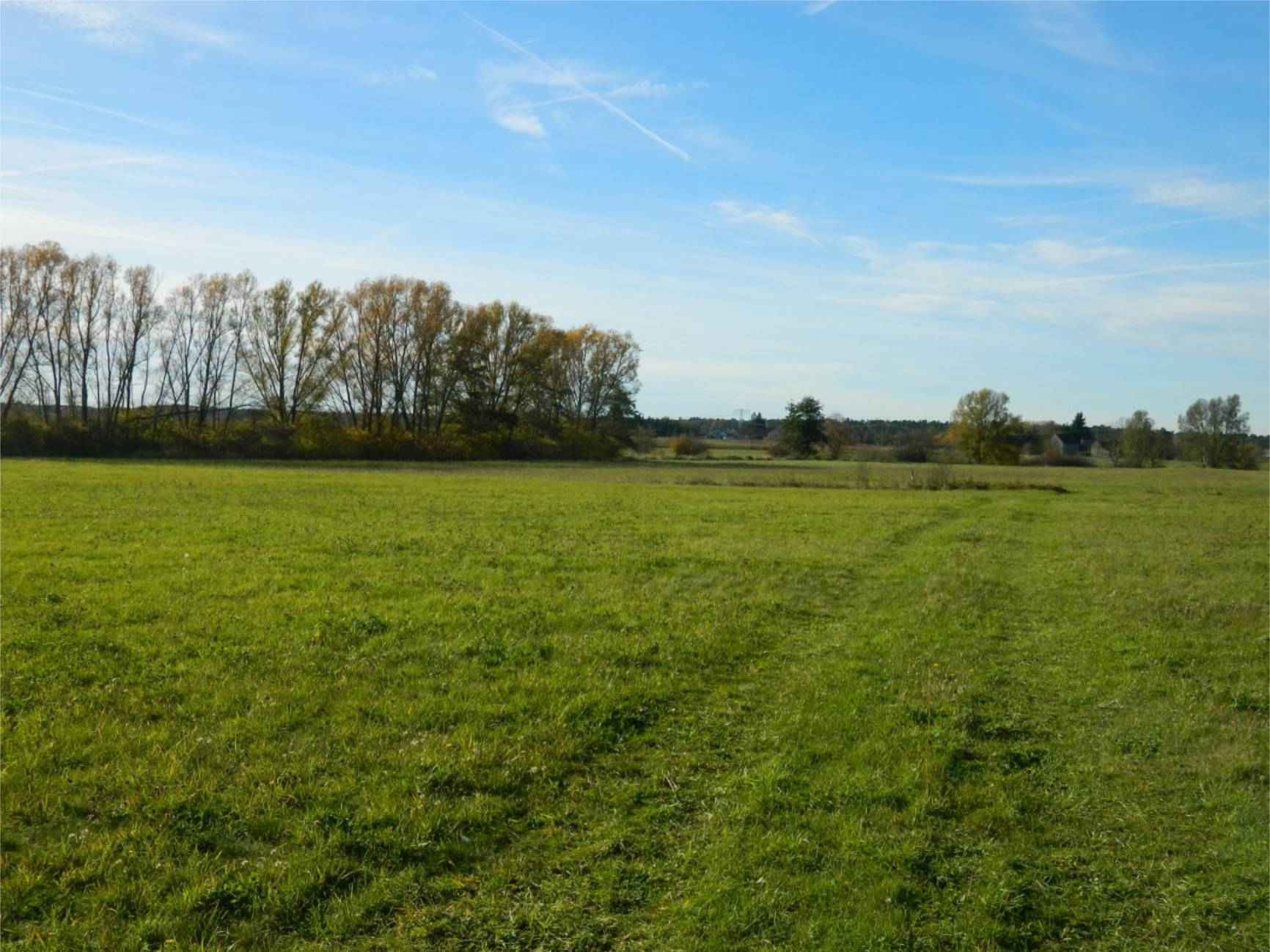 sachsen 467 K 123/26 Weidenhainer Straße 2, 04862 Mockrehna 7