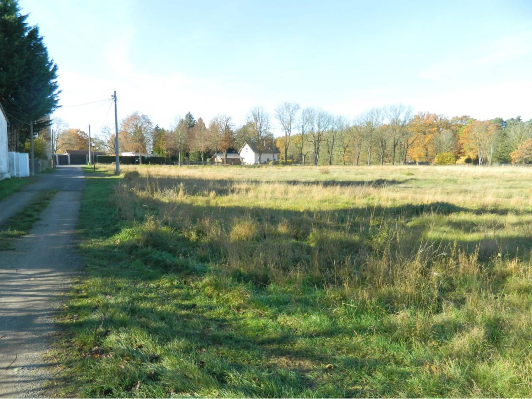 sachsen 467 K 123/26 Weidenhainer Straße 2, 04862 Mockrehna 12