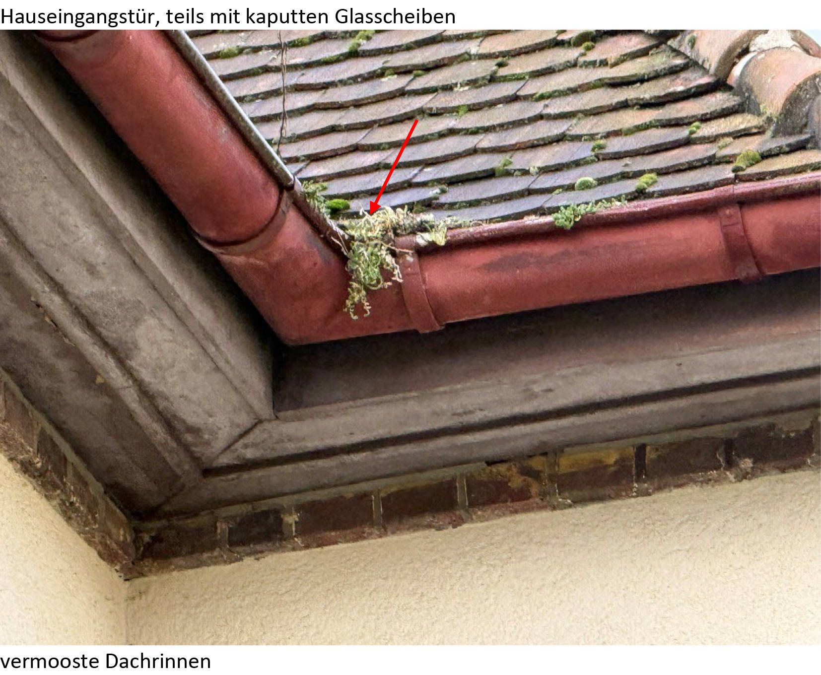 sachsen 467 K 144/24 Hauptstraße 95, 04564 Böhlen 23