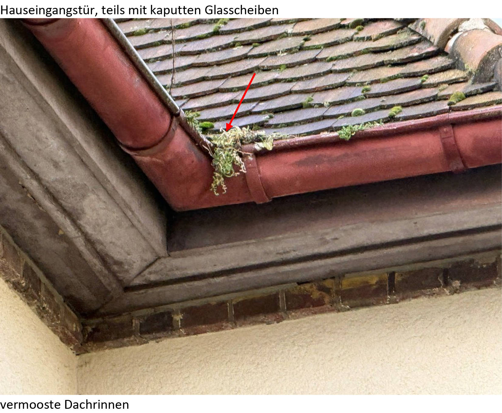 sachsen 467 K 144/24 Hauptstraße 95, 04564 Böhlen 16
