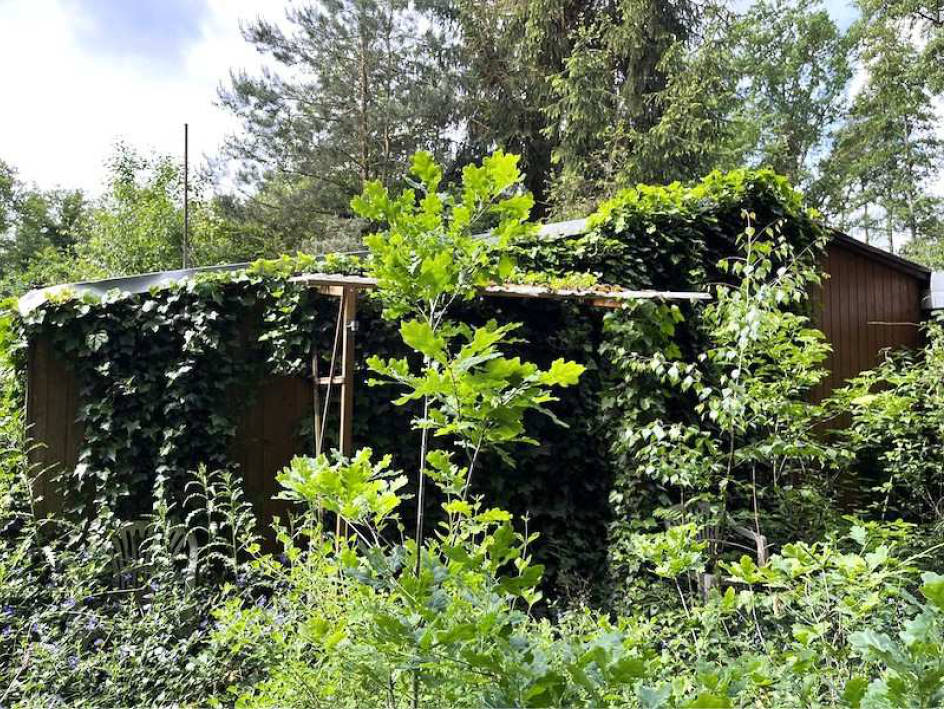 Wochenendhaus in Plötzky-Pfeiffers-See, 39217 Schönebeck, OT Plötzky