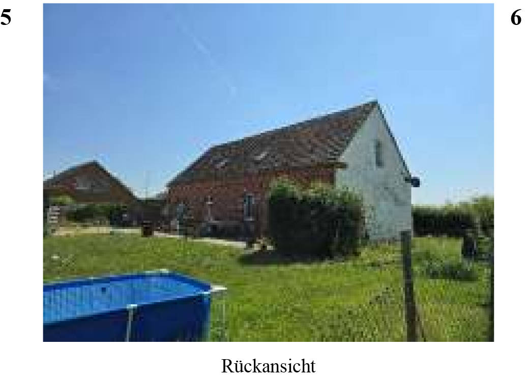 Einfamilienhaus, land- und forstwirtschaftlich genutztes Grundstück in Eichstedter Weg 11, 39596 Eichstedt, OT Baben - Bild 3