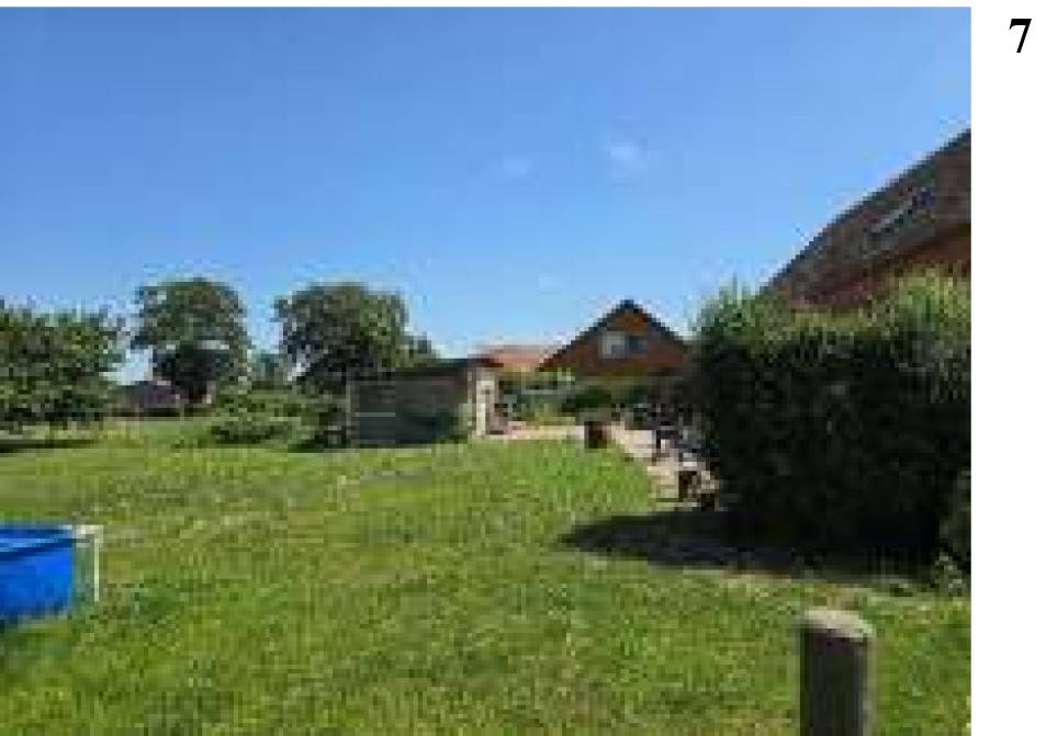 Einfamilienhaus, land- und forstwirtschaftlich genutztes Grundstück in Eichstedter Weg 11, 39596 Eichstedt, OT Baben - Bild 4