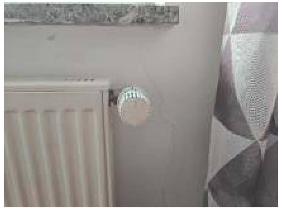 sachsen-anhalt 0007 K 0012/2024 Havelstraße 27, 39539 Havelberg 29