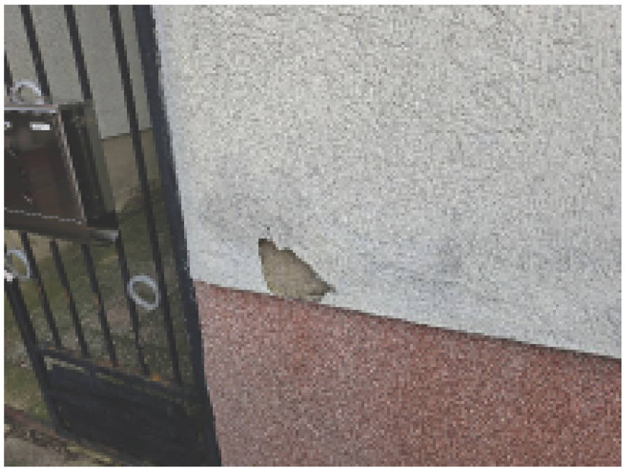 sachsen-anhalt 0007 K 0012/2024 Havelstraße 27, 39539 Havelberg 31