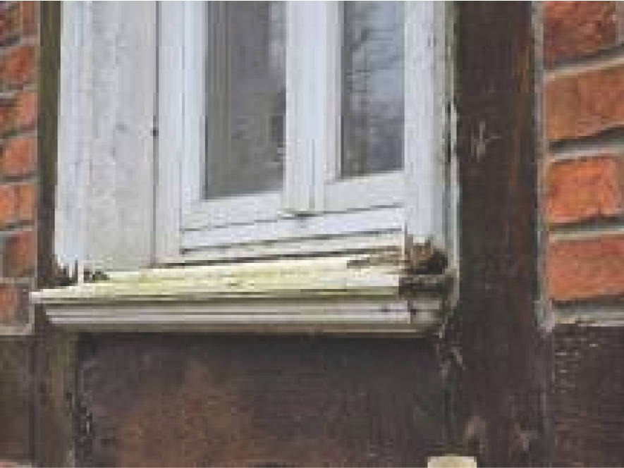 sachsen-anhalt 0007K0031-2024 Küsel 11, 39596 Hohenberg-Krusenmark, Schwarzholz