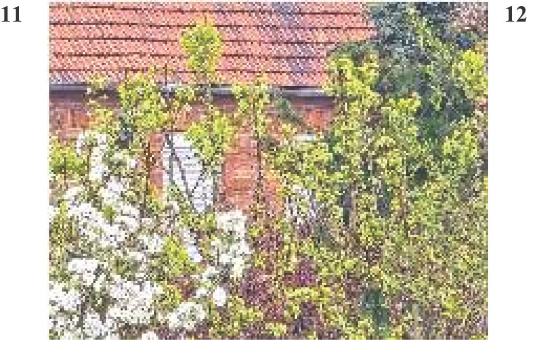 Einfamilienhaus in Carlbauerstraße 24, 39590 Tangermünde - Bild 5