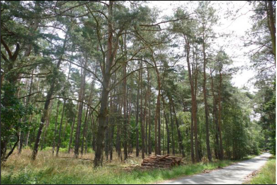sachsen-anhalt 0007K0057-2020 Breite Str. 36 u.a., 39629 Bismark