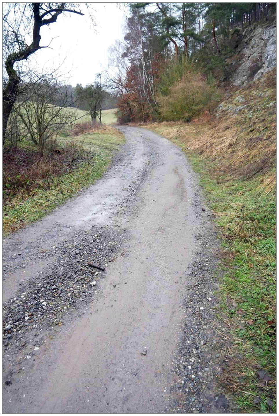 unbebautes Grundstück, land- und forstwirtschaftlich genutztes Grundstück in . ., 06536 Südharz, Wickerode - Bild 2