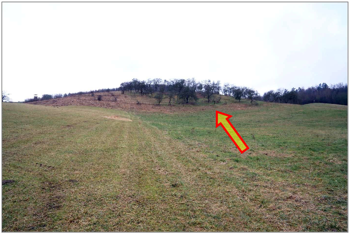 unbebautes Grundstück, land- und forstwirtschaftlich genutztes Grundstück in . ., 06536 Südharz, Wickerode