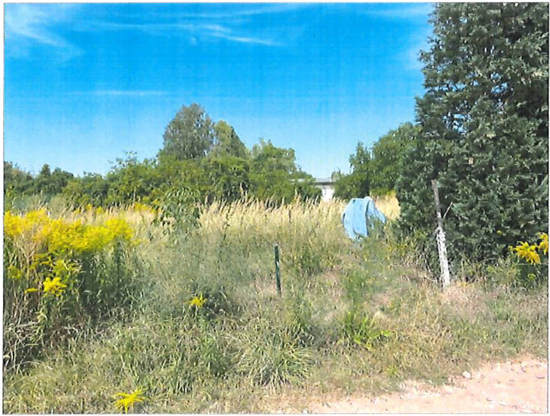 Grünland- bzw. ehemalige Gartenfläche in Dorfstätte, 39261 Zerbst/Anhalt - Bild 2