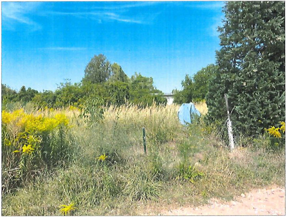 Grünland- bzw. ehemalige Gartenfläche in Dorfstätte, 39261 Zerbst/Anhalt