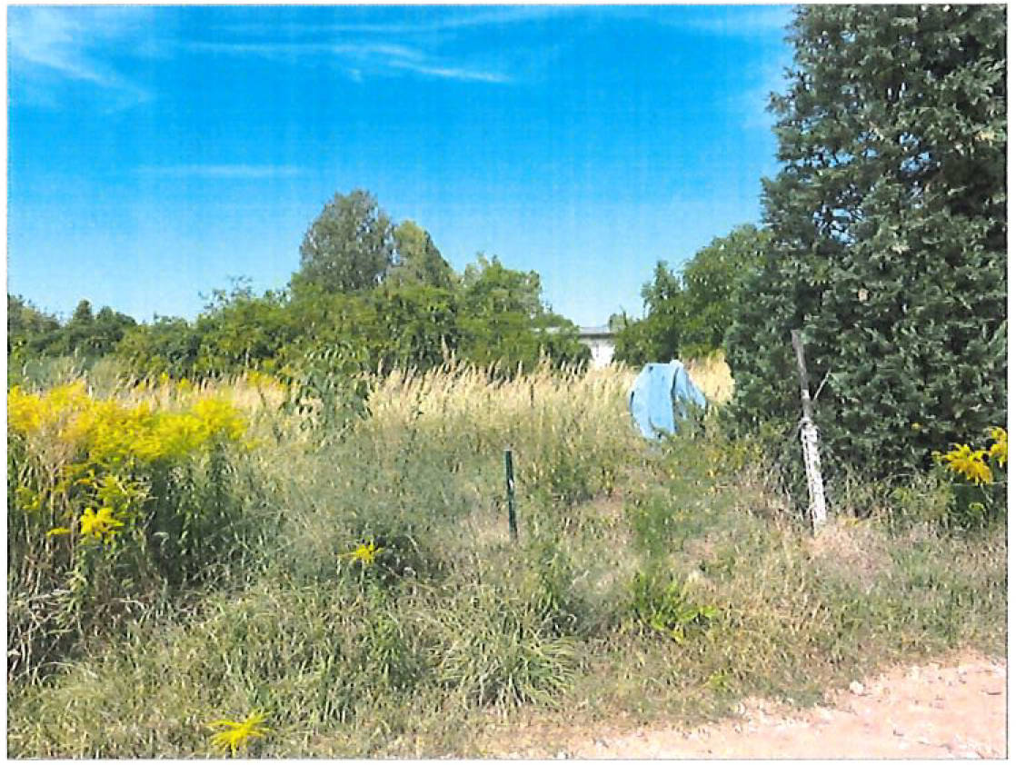 Grünland- bzw. ehemalige Gartenfläche in Dorfstätte, 39261 Zerbst/Anhalt - Bild 4