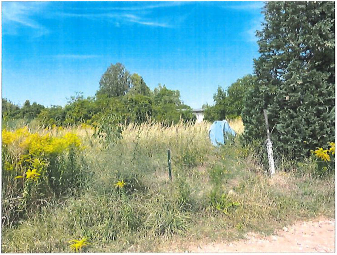 Grünland- bzw. ehemalige Gartenfläche in Dorfstätte, 39261 Zerbst/Anhalt - Bild 3