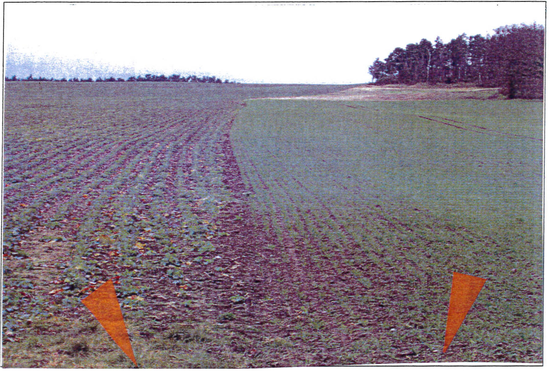 land- und forstwirtschaftlich genutztes Grundstück in Lindhorn, 38895 Derenburg