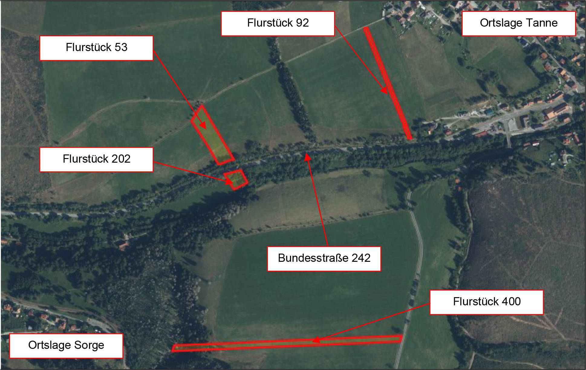 Sonstiges in ., 38875 Oberharz am Brocken, Tanne