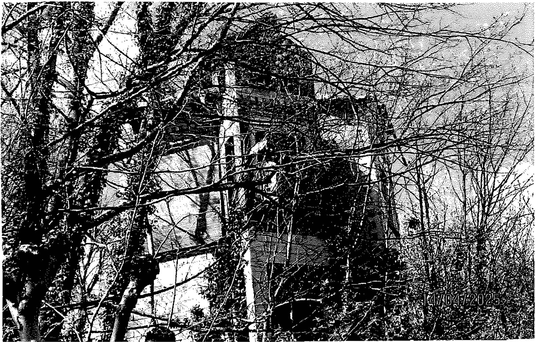 Sonstiges in Schlossberg 4, 38889 Blankenburg - Bild 2