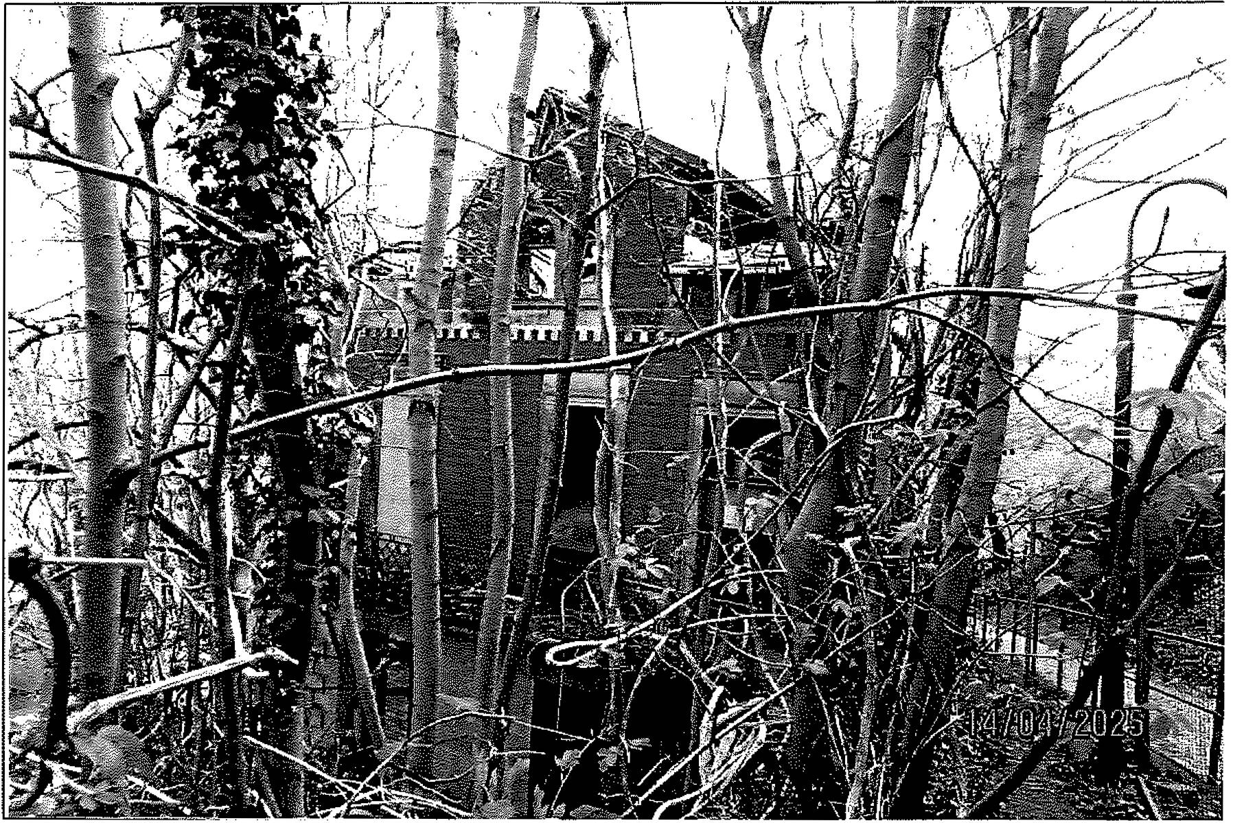 Sonstiges in Schlossberg 4, 38889 Blankenburg - Bild 5