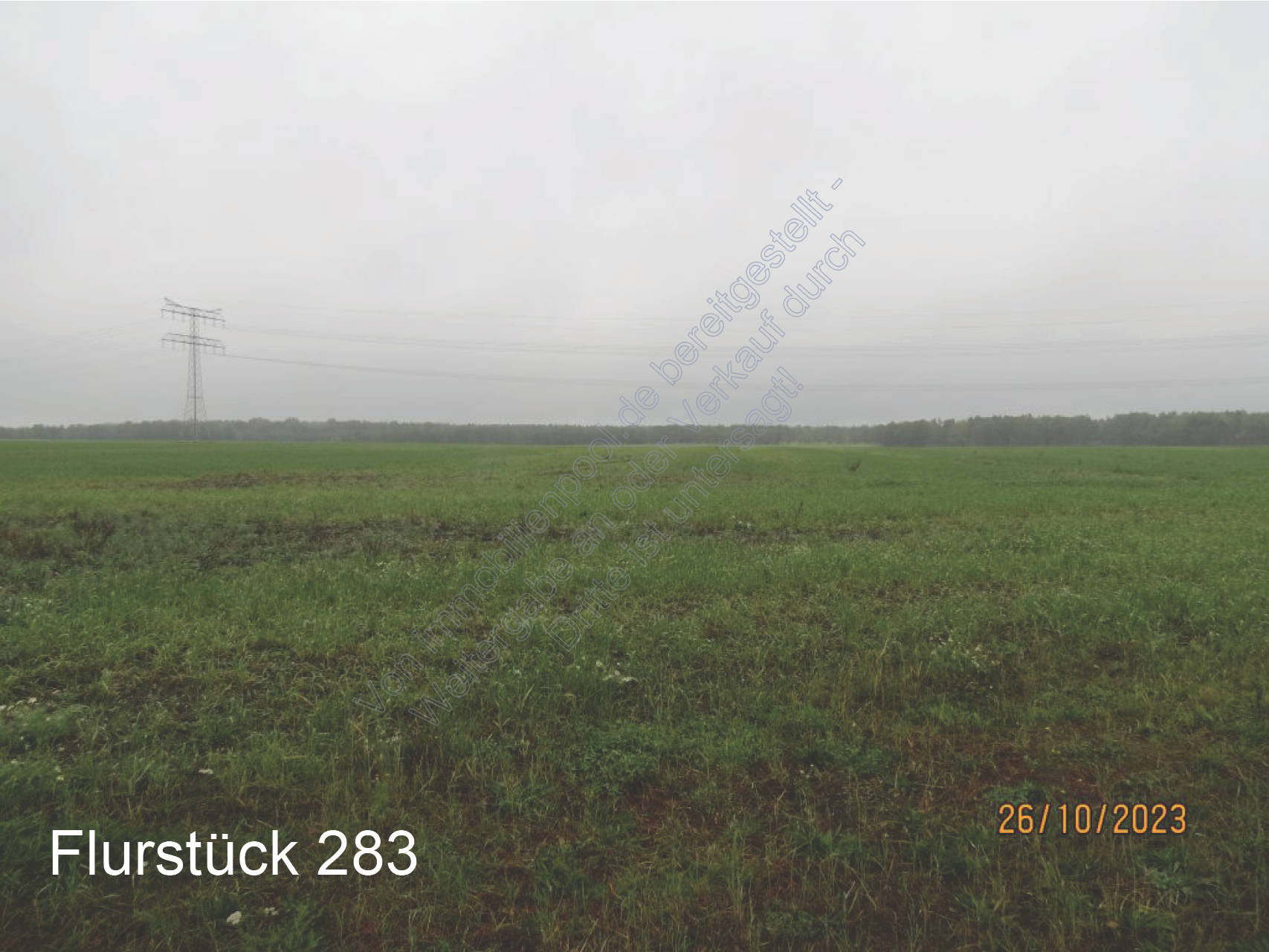 land- und forstwirtschaftlich genutztes Grundstück, land- und forstwirtschaftlich genutztes Grundstück in . ., 06772 Gräfenhainichen, OT Möhlau - Bild 2