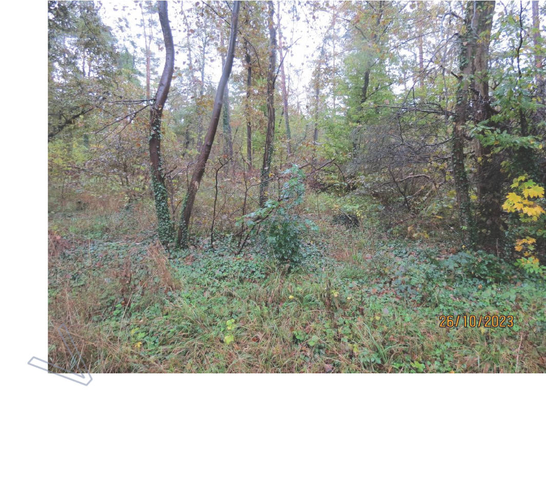 land- und forstwirtschaftlich genutztes Grundstück, land- und forstwirtschaftlich genutztes Grundstück in . ., 06772 Gräfenhainichen, OT Möhlau - Bild 3