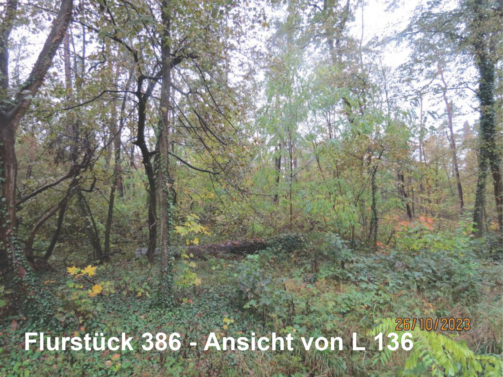 land- und forstwirtschaftlich genutztes Grundstück, land- und forstwirtschaftlich genutztes Grundstück in . ., 06772 Gräfenhainichen, OT Möhlau - Bild 4