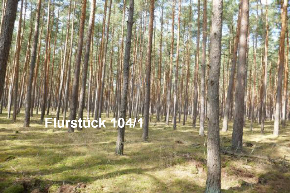 sachsen-anhalt 0031K0002-2024 Hinter dem breiten Soll, 00000 Vorn am salauer Berg 8