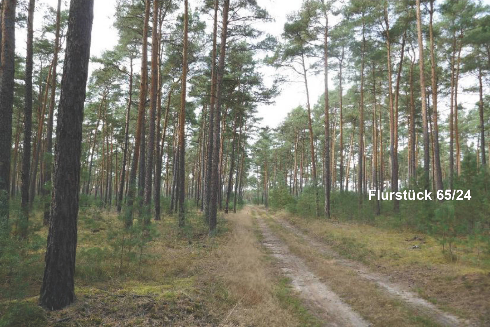 sachsen-anhalt 0031K0002-2024 Hinter dem breiten Soll, 00000 Vorn am salauer Berg 12