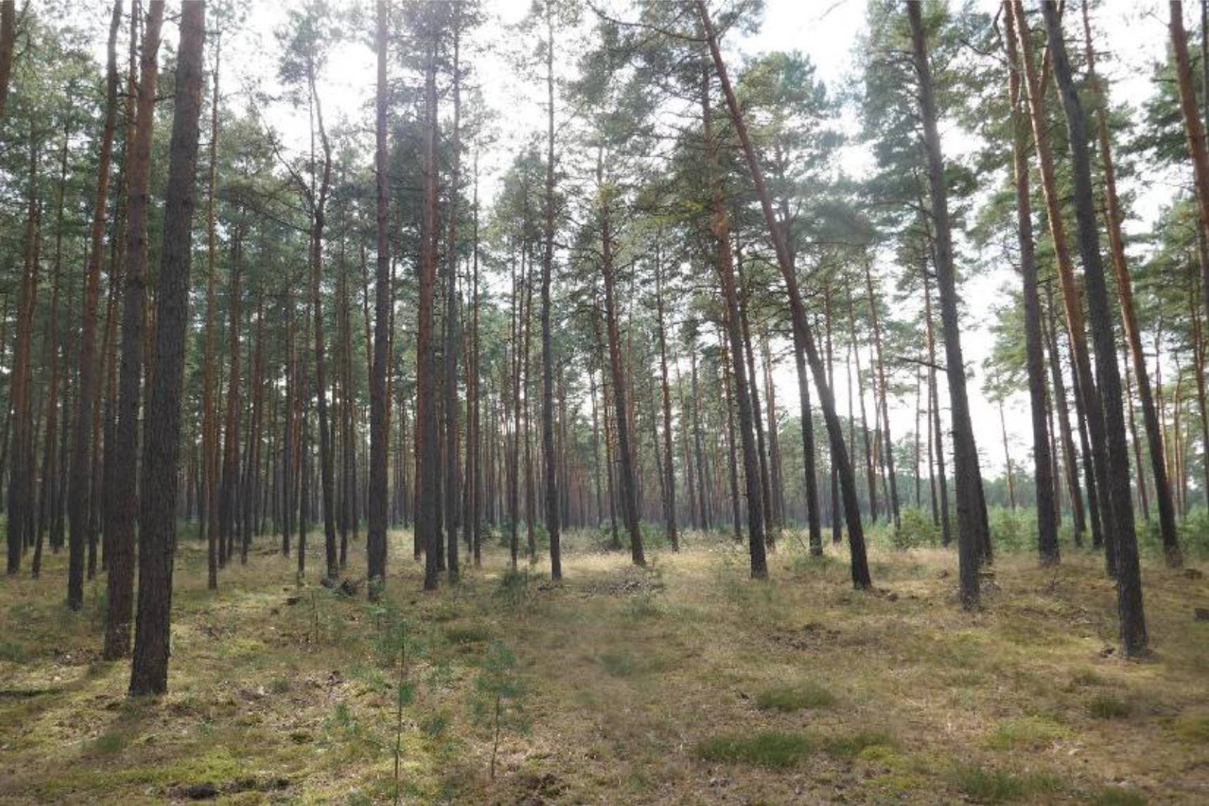 sachsen-anhalt 0031K0002-2024 Hinter dem breiten Soll, 00000 Vorn am salauer Berg 14