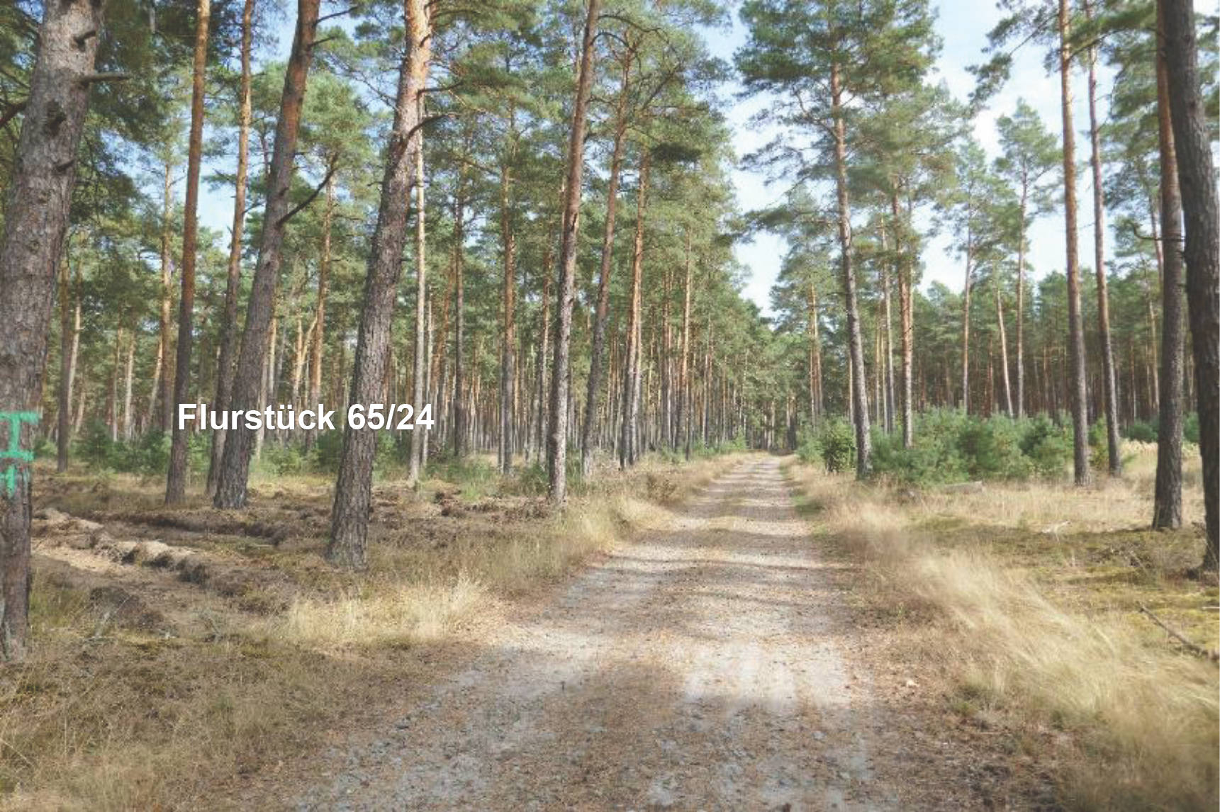 sachsen-anhalt 0031K0002-2024 Hinter dem breiten Soll, 00000 Vorn am salauer Berg 7