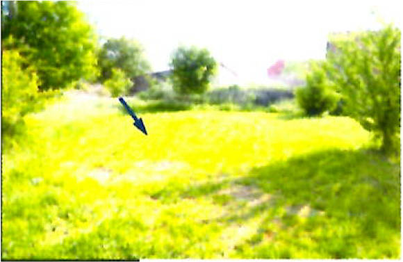 unbebautes Grundstück in Bergstraße 5,7,9,13, 06347 Gerbstedt, Zabenstedt - Bild 2