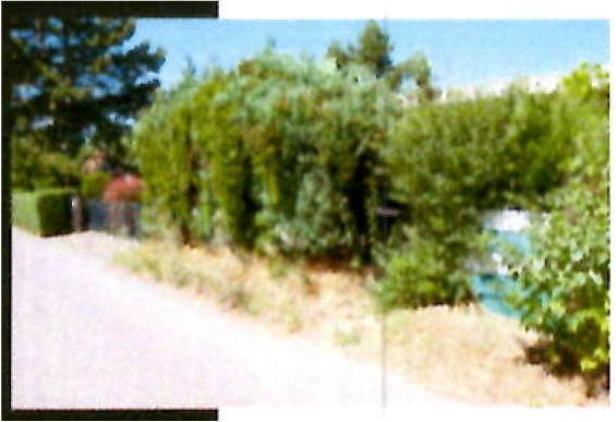 Einfamilienhaus in Amselweg 7, 06311 Helbra - Bild 4