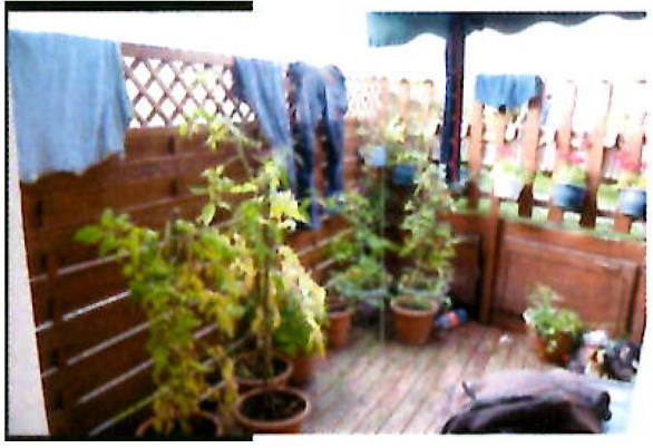 Einfamilienhaus in Grabenstraße 36, 06295 Eisleben - Bild 4