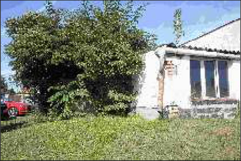 sachsen-anhalt 0055K0015-2024 An der Presse 2, 06179 Salzatal, Bennstedt 13