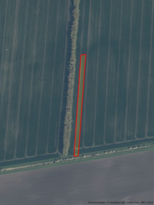 Land-/Forstwirtschaft in , 38838 Schlanstedt - Bild 2
