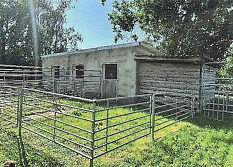 Gewerbeobjekt in Straße der Freundschaft 13, 39393 Hötensleben OT Ohrsleben - Bild 3