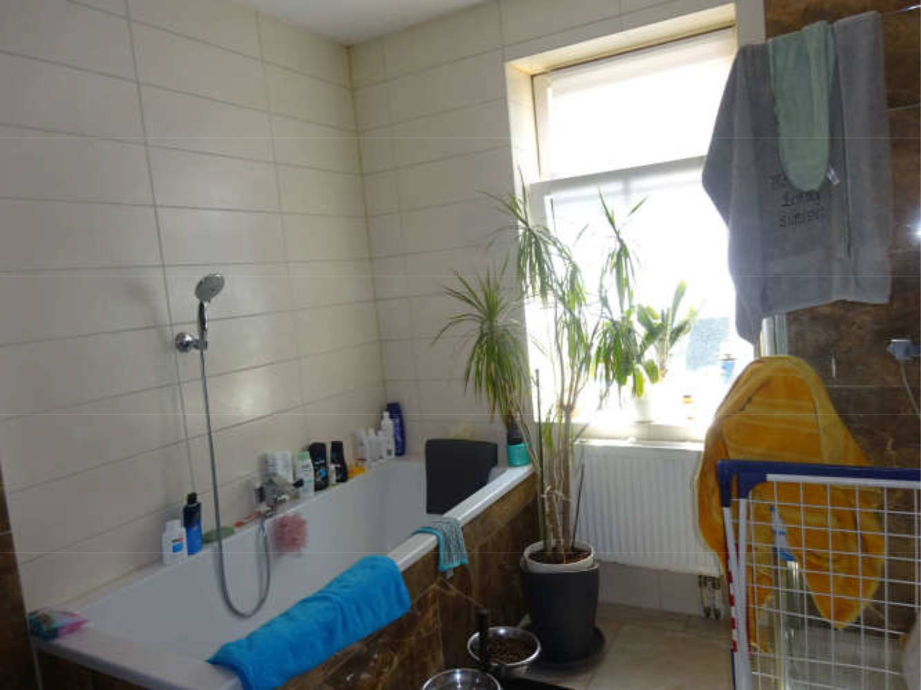 sachsen-anhalt 20 K 11/25 Dammstraße 14, 06667 Weißenfels 7