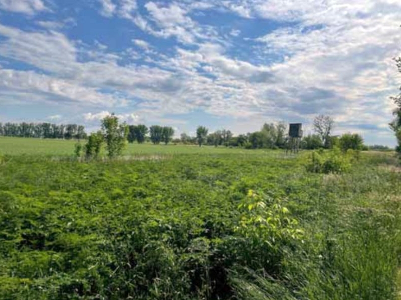 sachsen-anhalt 3 K 23-24 , 39240 Calbe (Saale) OT Schwarz