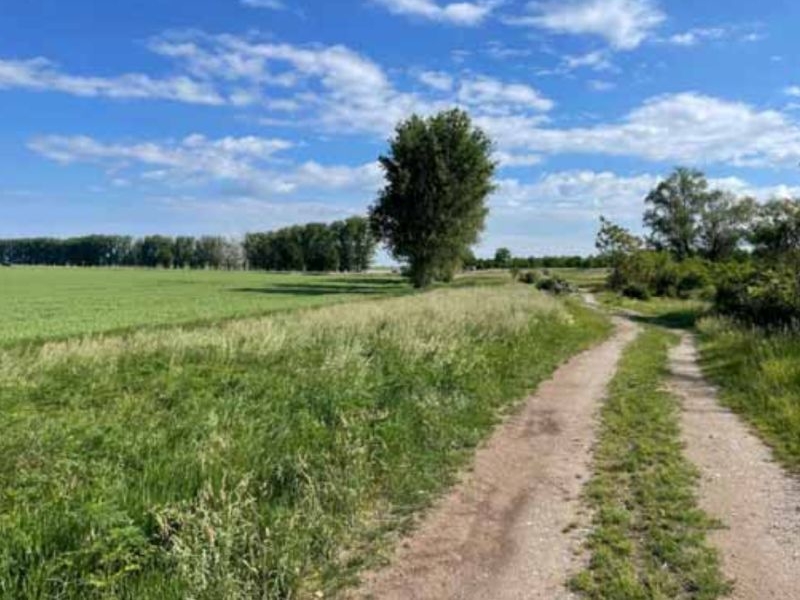 sachsen-anhalt 3 K 23-24 , 39240 Calbe (Saale) OT Schwarz