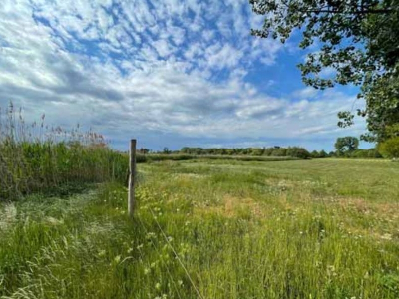 sachsen-anhalt 3 K 23-24 , 39240 Calbe (Saale) OT Schwarz