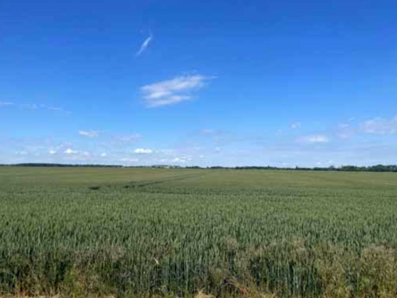 sachsen-anhalt 3 K 23-24 , 39240 Calbe (Saale) OT Schwarz