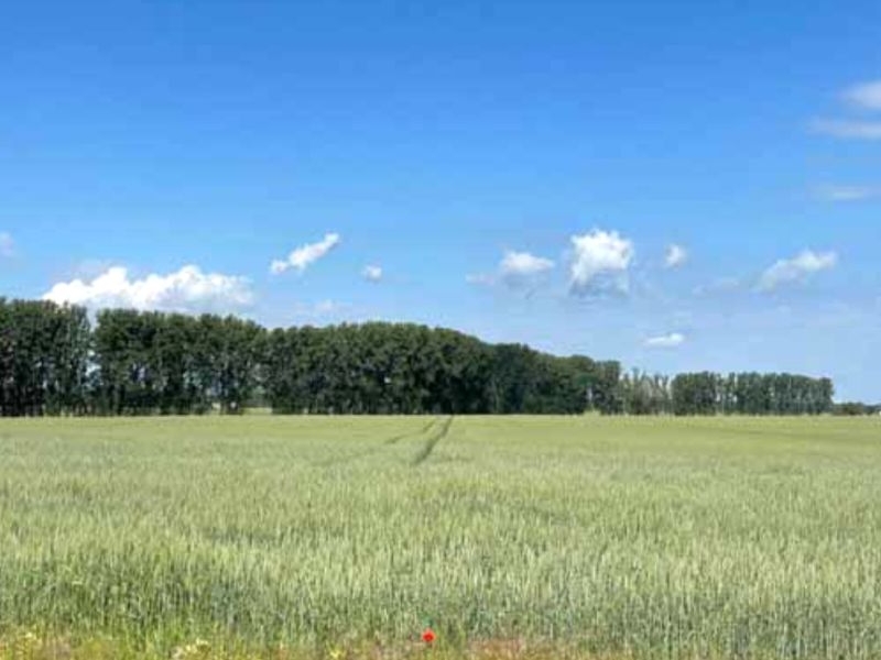 sachsen-anhalt 3 K 23-24 , 39240 Calbe (Saale) OT Schwarz