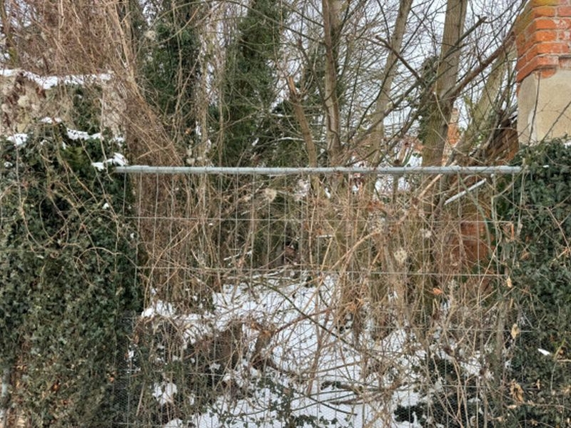 Wohn-/Geschäftshaus, zweigeschossig in Schloßstraße 105, 39240 Calbe (Saale) - Bild 5