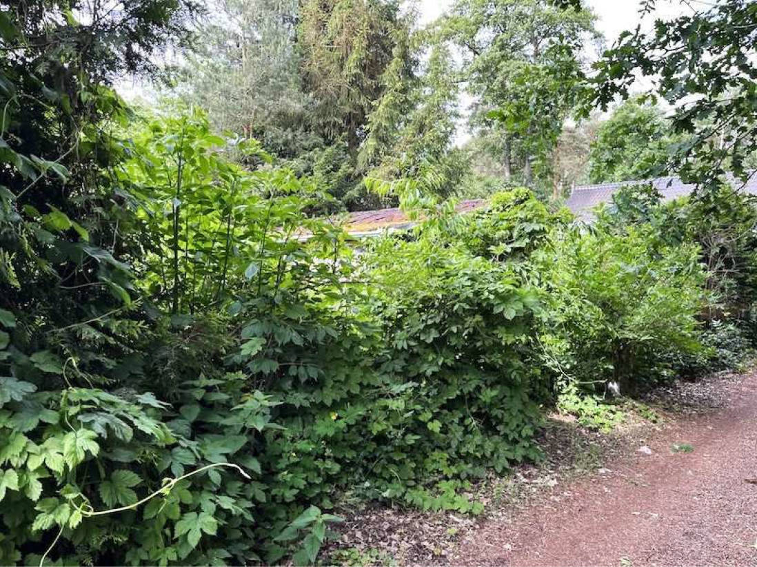 sachsen-anhalt 3 K 6/25 Pfeiffers See Sektion XI Nr.10, 39217 Schönebeck (Elbe) OT Plötzky 6