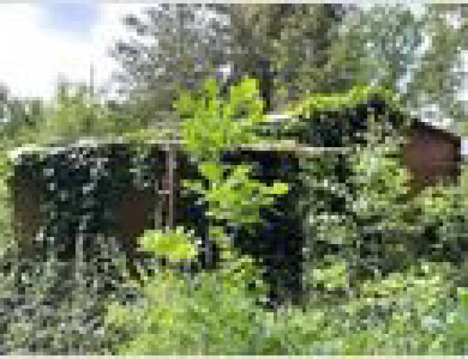 Wochenendhaus in Pfeiffers See Sektion XI Nr.10, 39217 Schönebeck (Elbe) OT Plötzky - Bild 2