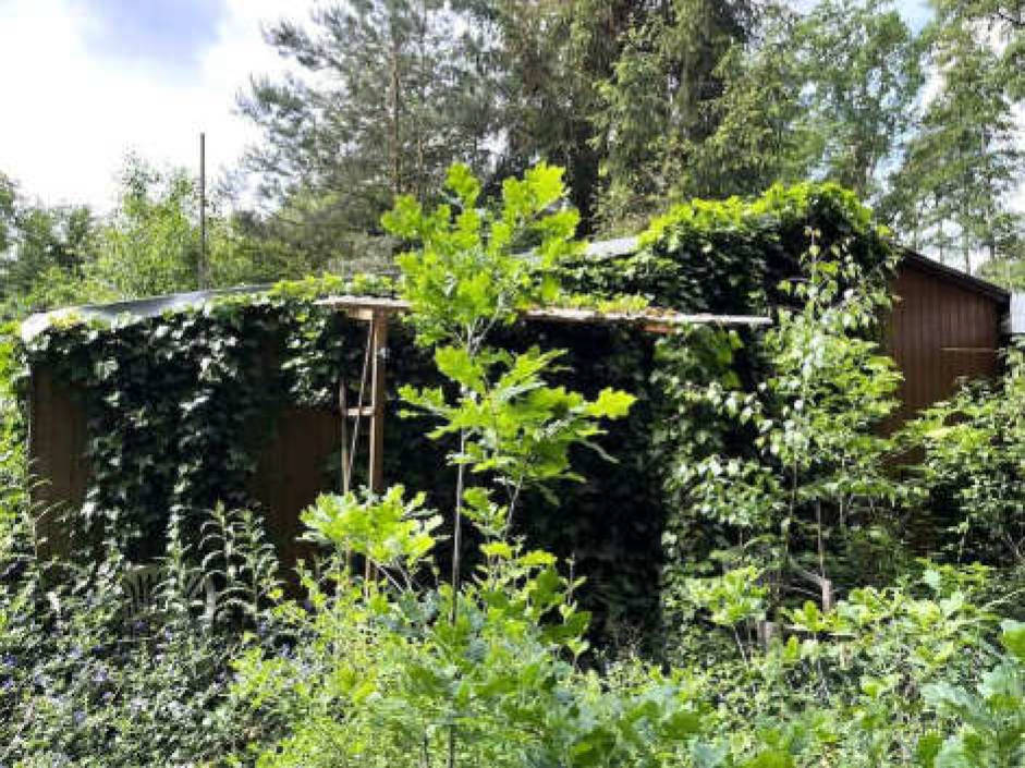 Wochenendhaus in Pfeiffers See Sektion XI Nr.10, 39217 Schönebeck (Elbe) OT Plötzky