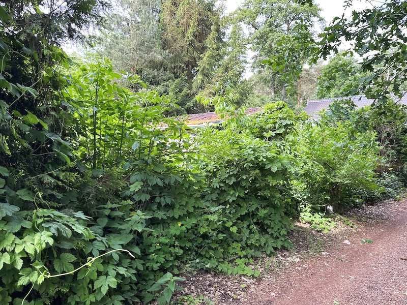 Wochenendhaus in Pfeiffers See Sektion XI Nr.10, 39217 Schönebeck (Elbe) OT Plötzky - Bild 4