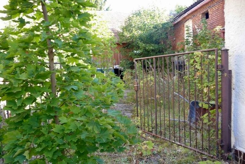sachsen-anhalt 32 K 12/25 Mühlenstraße 6, 39307 Parchen 6