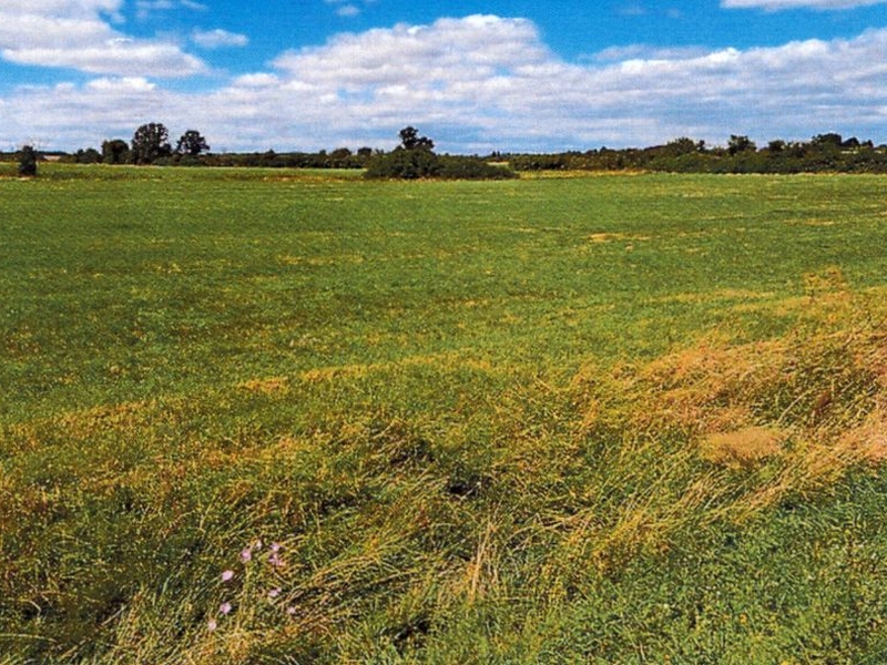 Land-/Forstwirtschaft in , 39279 Möckern OT Hobeck - Bild 2
