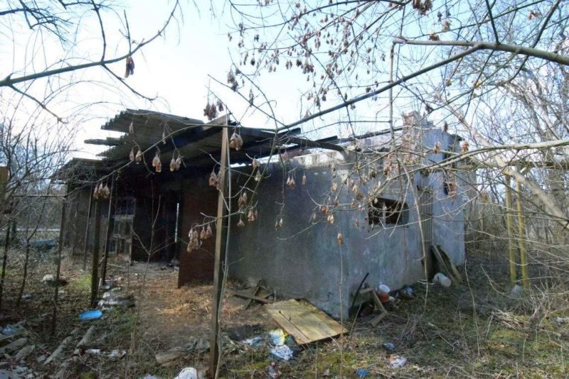 Einfamilienhaus in Karower Straße 23, 39307 Genthin - Bild 4