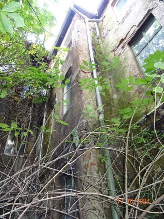 Wohnen/Gewerbe in Glockenstraße 3, 06295 Eisleben - Bild 3